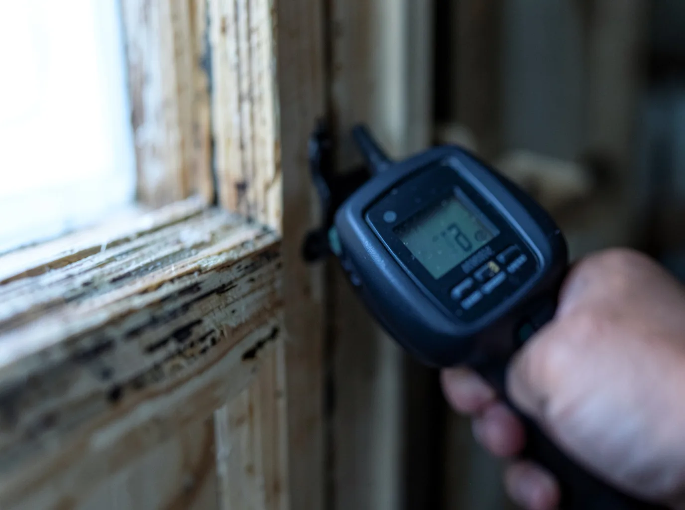 Moisture Inspection And Documentation in Alum Creek, WV